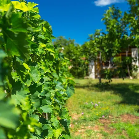 Ferienhaus Maria Betiga *