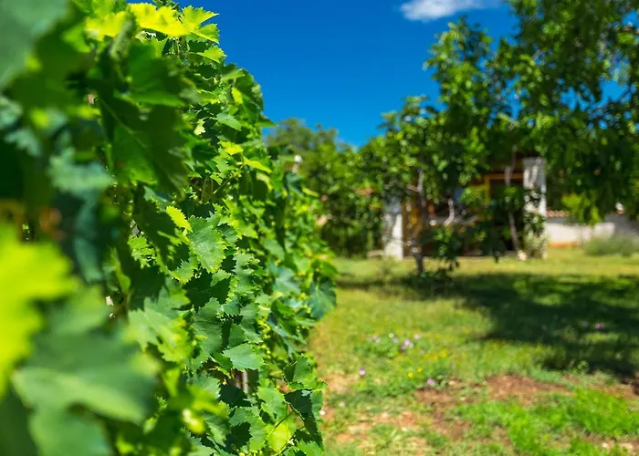 펜션 Maria Betiga *